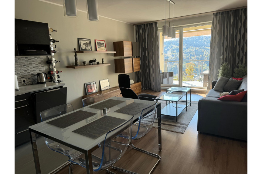cieszyński, Wisła, Widokowy apartament w górach